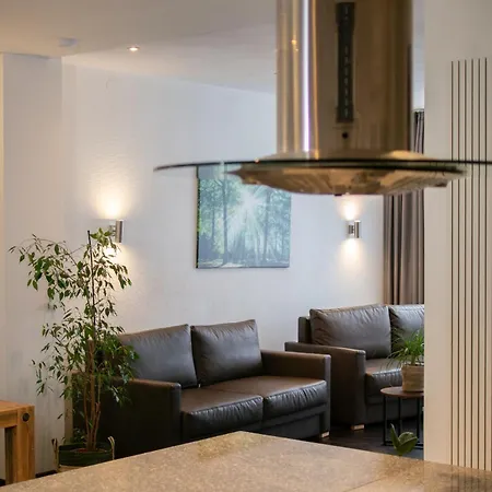 Apartment Meywohnen *